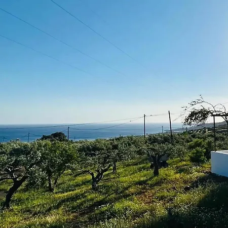 Studios Crete Ferma Exterior photo