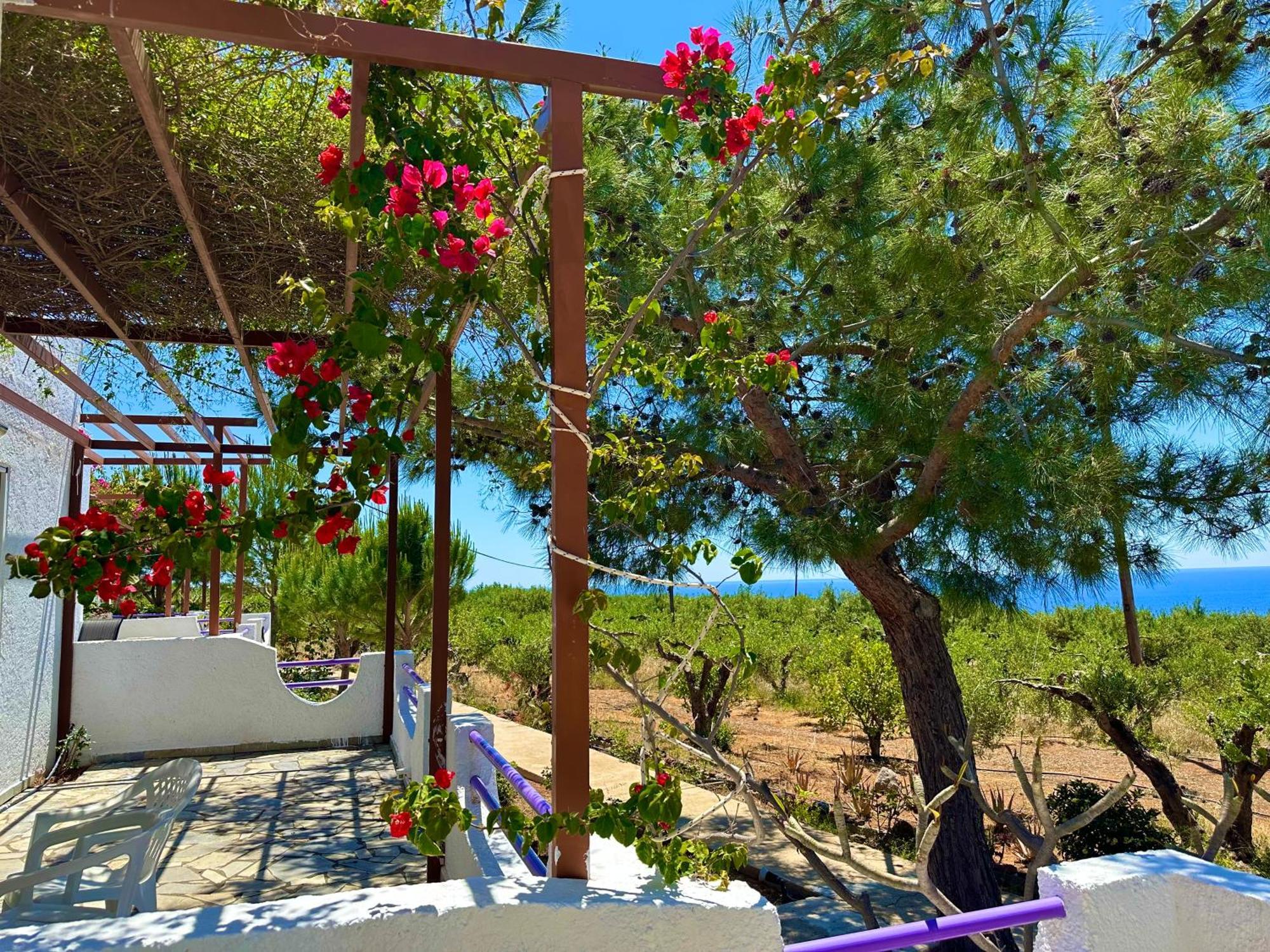Appartamento Crete *
