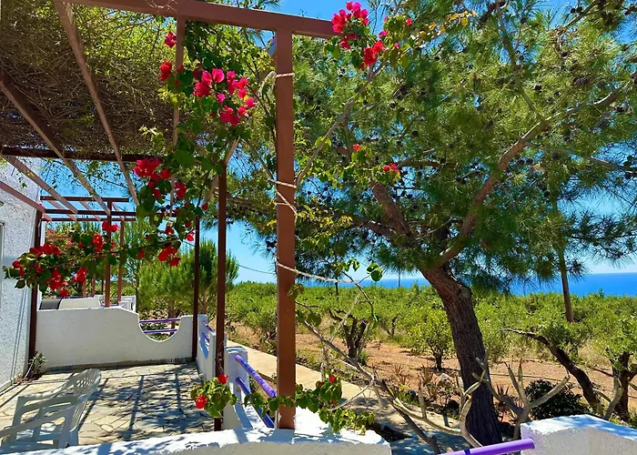 Studios Crete