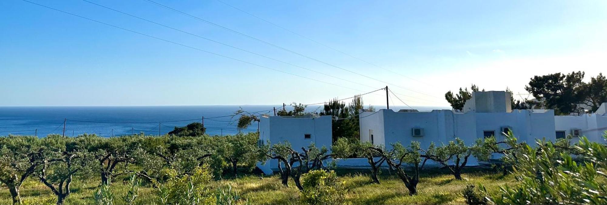 Crete * Ferma