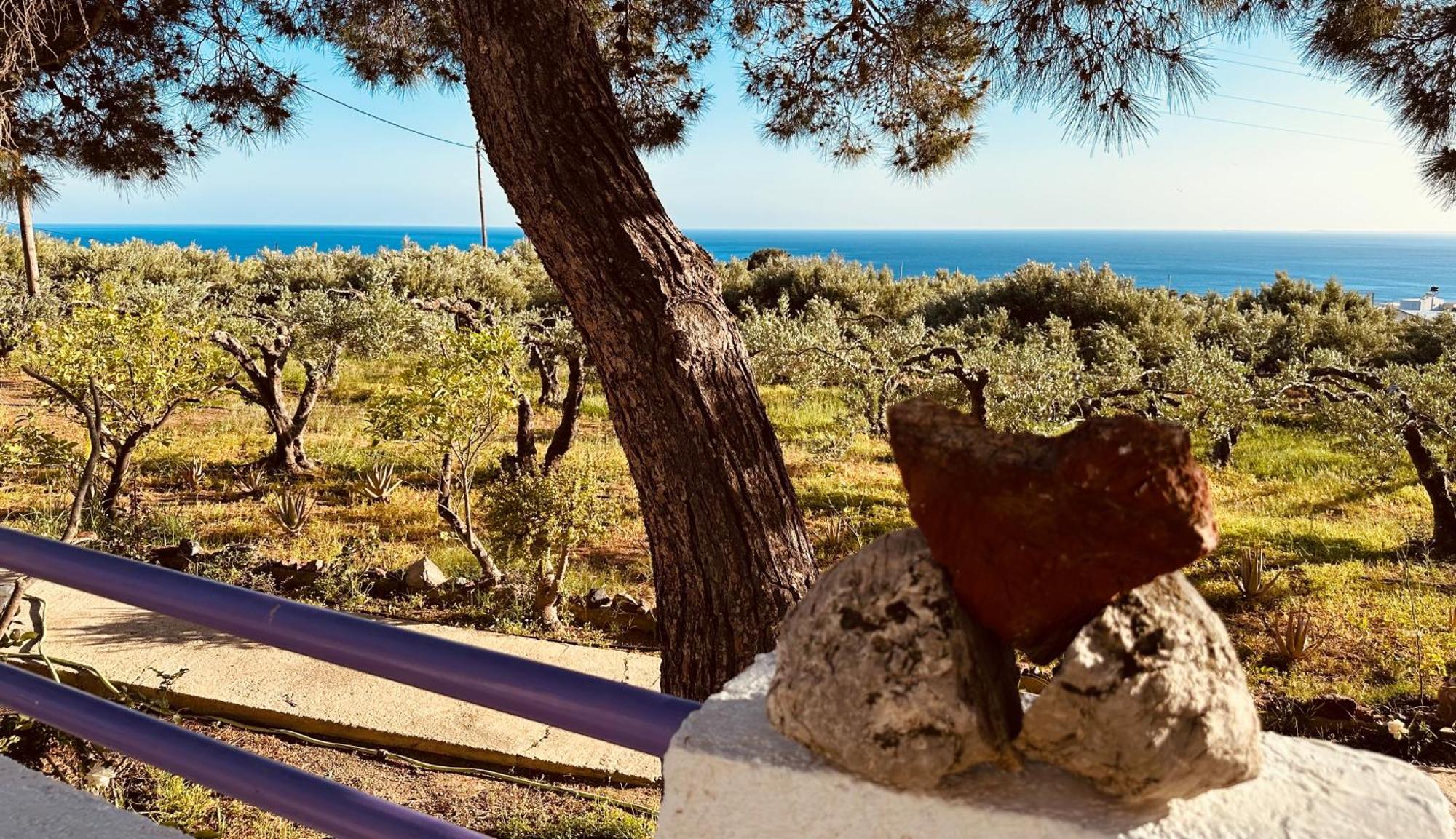 Crete * Ferma